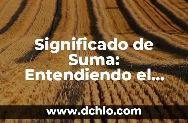 Insignia de los Administradores Significado 6 Significado de Suma: Entendiendo el Concepto Básico