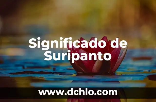 El Significado del Turismo de Negocios 3 Significado de Suripanto
