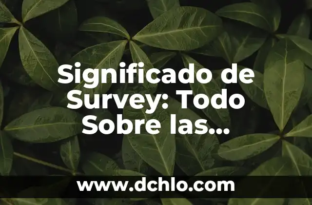 Infraestructura de una empresa: Todo lo que debes saber 3 Significado de Survey: Todo Sobre las Encuestas