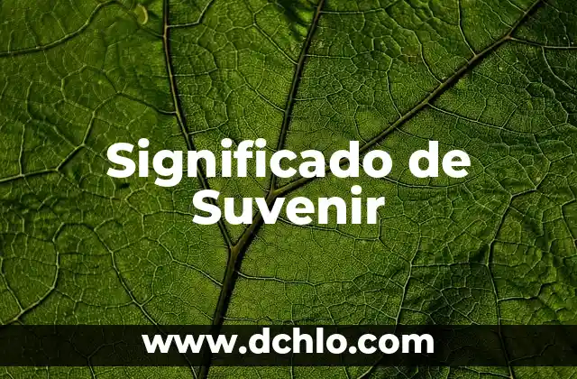 Importe de los Estímulos Significado: Un Enfoque Integral 4 Significado de Suvenir