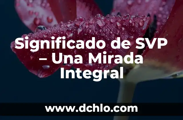 Incidencia de un menor significado: Un enfoque integral 4 Significado de SVP – Una Mirada Integral