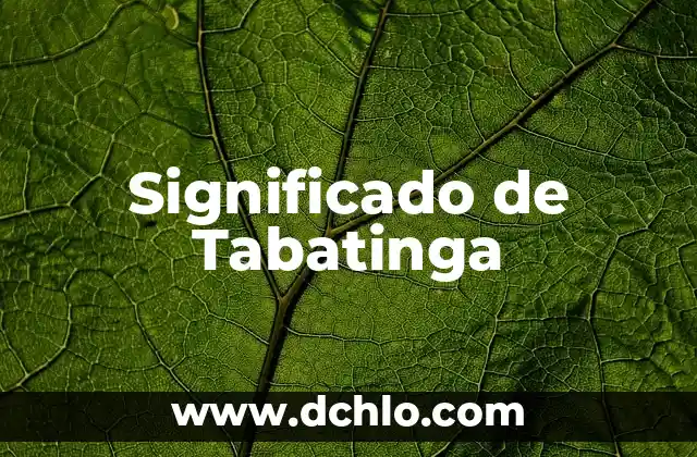 El Significado de Sílabo: Una Guía Completa 5 Significado de Tabatinga