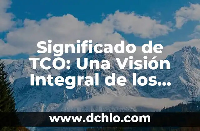 El significado del valor de familia 4 Significado de TCO: Una Visión Integral de los Costos