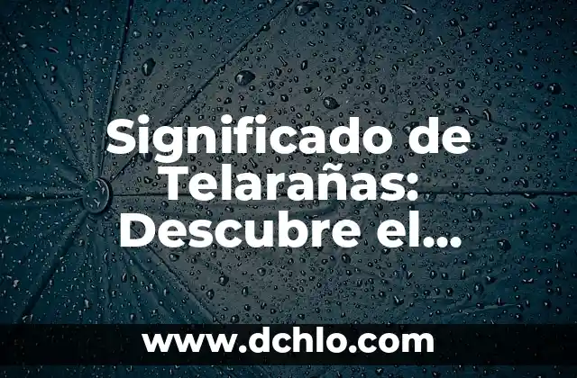 Significado de Telarañas: Descubre el Fascinante Mundo detrás de estas Redes