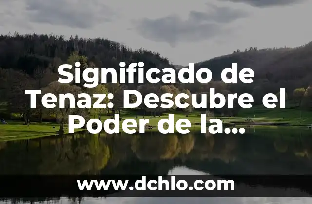 Descubre el Poder de las Palabras con Sentido Penetrante 8 Significado de Tenaz: Descubre el Poder de la Perseverancia