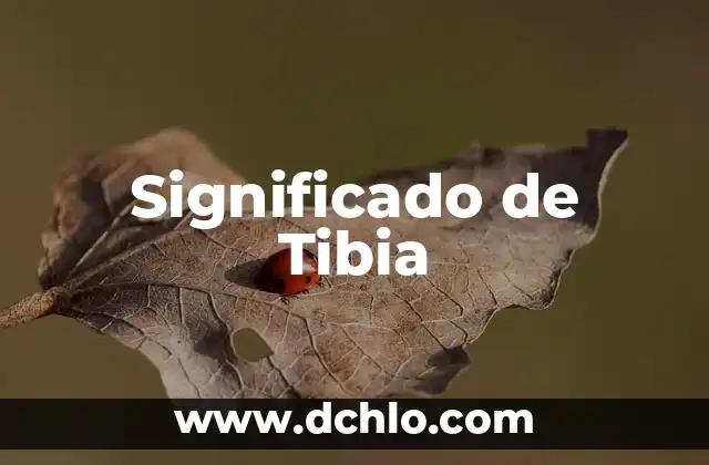 El Significado de Tlalcilalcalpan 6 Significado de Tibia