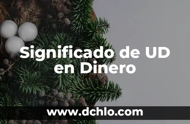 Cómo Hacer Más Dinero con Dinero 7 Significado de UD en Dinero