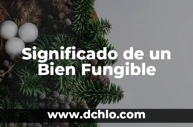 Significado de Criminalidad 3 Significado de un Bien Fungible