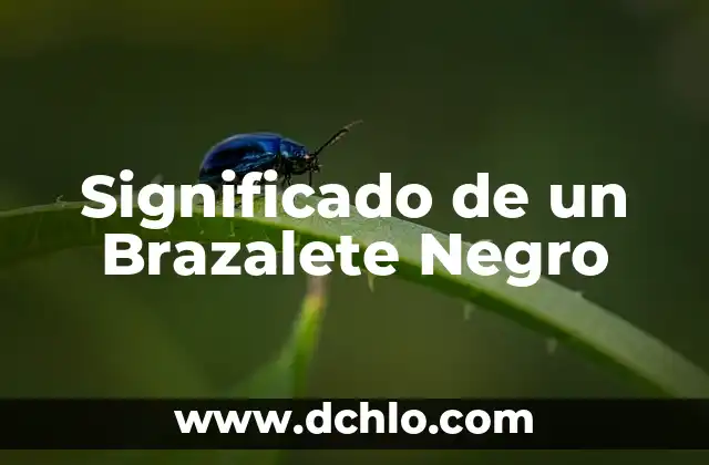 Introducción al significado de un bloque try 8 Significado de un Brazalete Negro