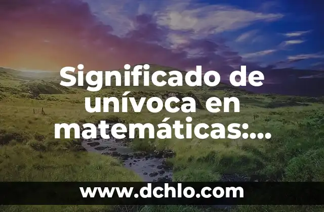 Significado de Enrevesado: Entendiendo el Concepto 4 Significado de unívoca en matemáticas: Entendiendo las funciones uno a uno