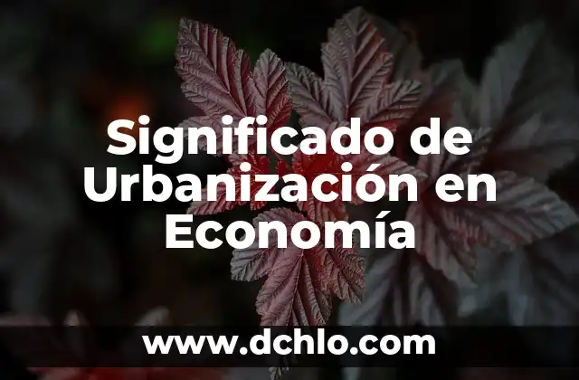 Hub: significado de banco y su importancia en la economía 8 Significado de Urbanización en Economía