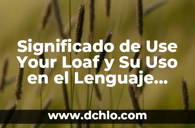 ¿Qué Hora Es Ahora en Perú? - Horario Actual en Perú 7 Significado de Use Your Loaf y Su Uso en el Lenguaje Actual