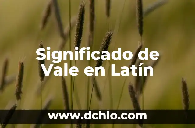 El Significado de Incognito en Latín 4 Significado de Vale en Latín