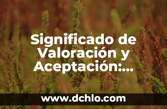 Entendiendo el Concepto de Materiales Conductivos 4 Significado de Valoración y Aceptación: Entendiendo sus Implicaciones