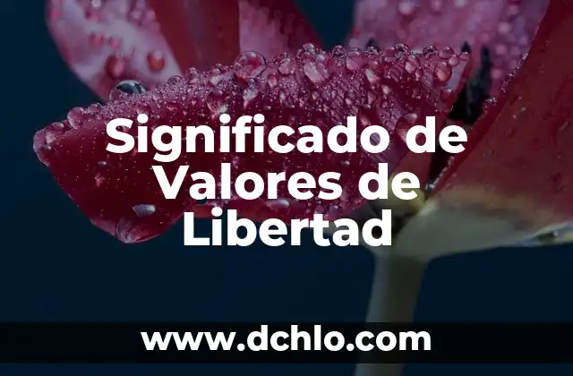 Tipos de significados de libertad: Un viaje a través de sus múltiples facetas 5 Significado de Valores de Libertad