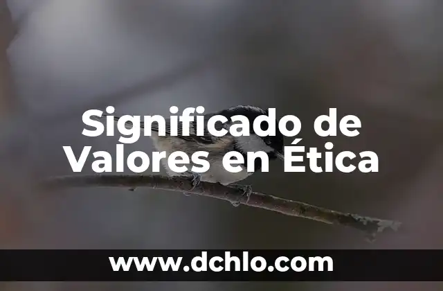 Valores y significado de QS 8 Significado de Valores en Ética