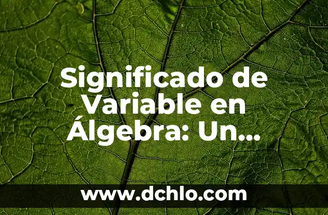 Dejo de esperanza: significado y concepto 7 Significado de Variable en Álgebra: Un Concepto Fundamental
