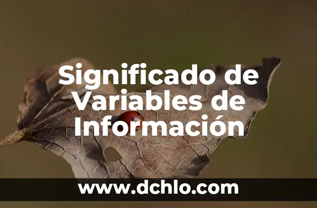 Significado de Variables en Informática 6 Significado de Variables de Información