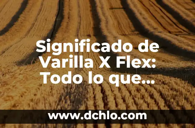 El Misterio de la Varilla Mágica 6 Significado de Varilla X Flex: Todo lo que Necesitas Saber
