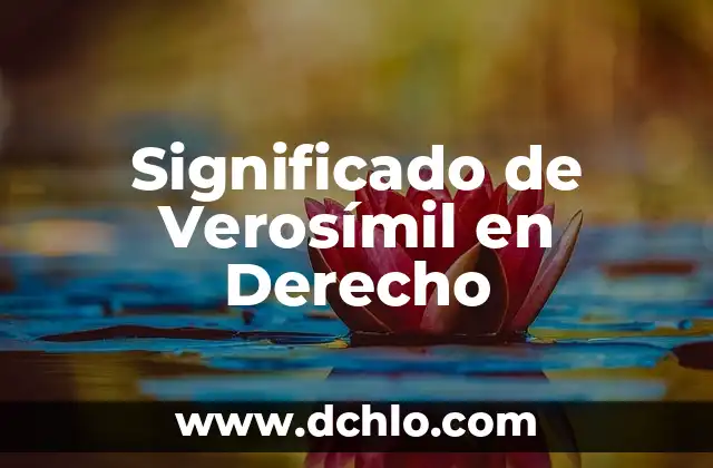 El Vestido Regional de Veracruz y su Significado Cultural 6 Significado de Verosímil en Derecho