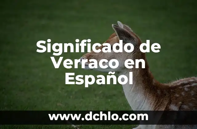 El Vestido Regional de Veracruz y su Significado Cultural 4 Significado de Verraco en Español