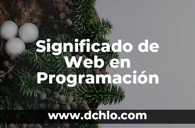 Significado de Web Check In 3 Significado de Web en Programación