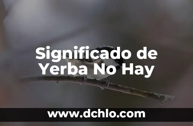 Cuántos Planetas Hay en el Mundo: Una Guía Completa 8 Significado de Yerba No Hay