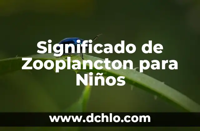 Origen y significado de jubileo 6 Significado de Zooplancton para Niños