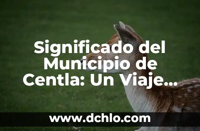 Significado de Fermentado: Un Viaje al Corazón de la Transformación 8 Significado del Municipio de Centla: Un Viaje por su Historia y Cultura