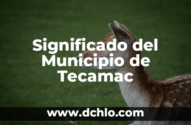 Significado del Municipio de Acolman 5 Significado del Municipio de Tecamac