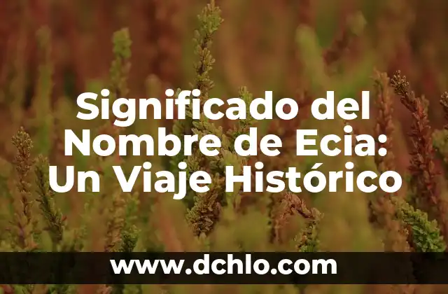 El Monte de Efraín: Un Lugar Histórico y Simbólico 6 Significado del Nombre de Ecia: Un Viaje Histórico