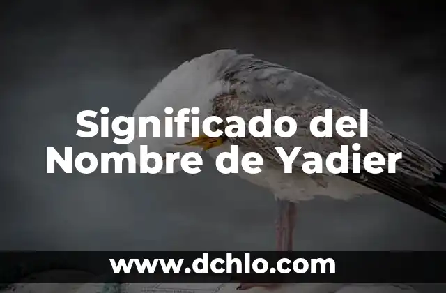 Significado del Nombre de Robin 4 Significado del Nombre de Yadier