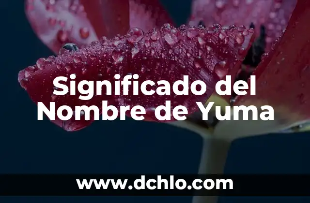 Significado del Nombre de Yatzy: Un Juego de Dados Emblemático 5 Significado del Nombre de Yuma