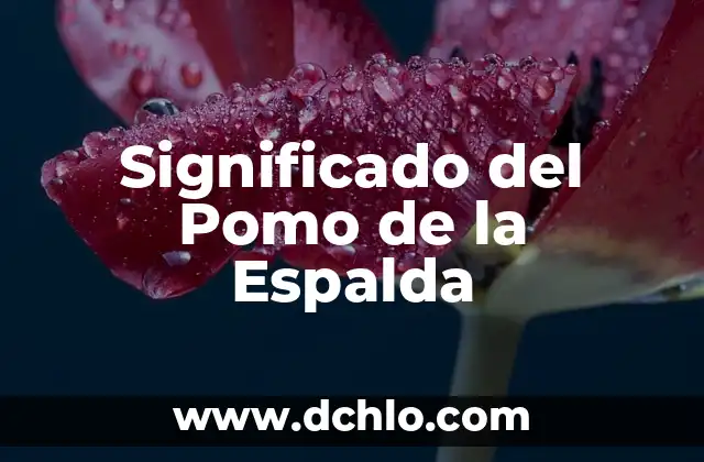 Plush significado de la canción 6 Significado del Pomo de la Espalda