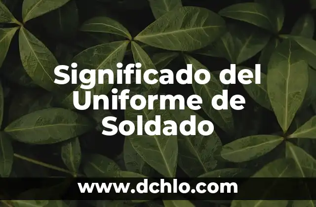 El Significado de Susano en la Mitología Japonesa 8 Significado del Uniforme de Soldado