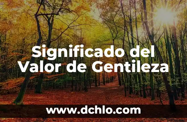 Significado del Valor de Gentileza
