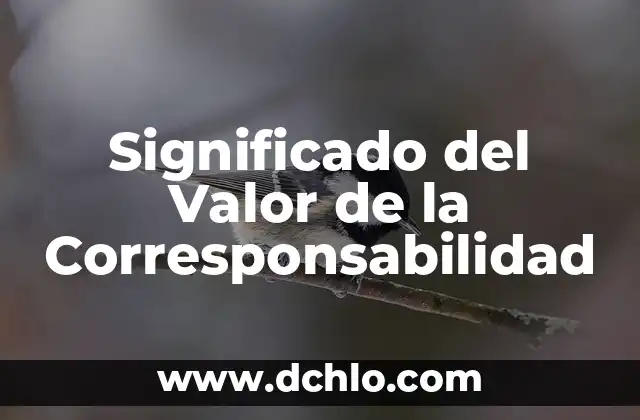 Significado del valor de la comprensión 4 Significado del Valor de la Corresponsabilidad