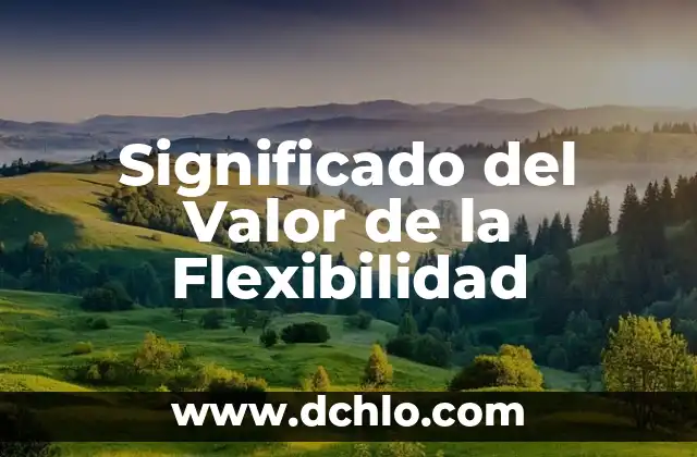 Significado del Valor de la Flexibilidad