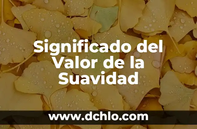 Significado del Valor de la Serenidad 5 Significado del Valor de la Suavidad
