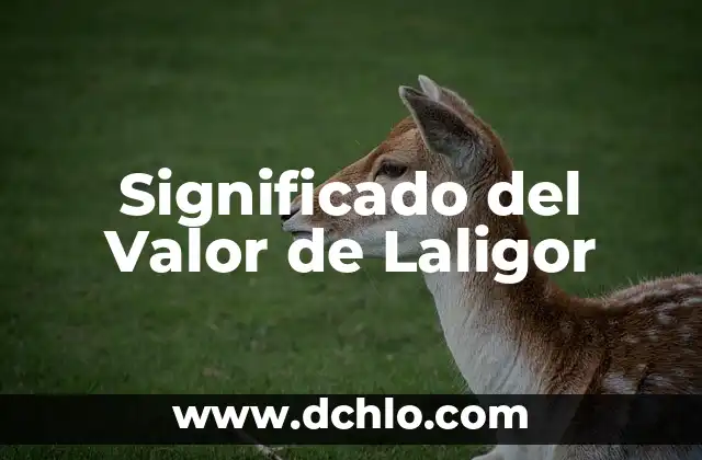 El Significado de Tamia 7 Significado del Valor de Laligor