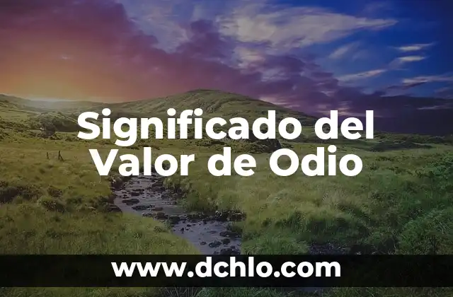 El significado del valor de la individualidad 7 Significado del Valor de Odio