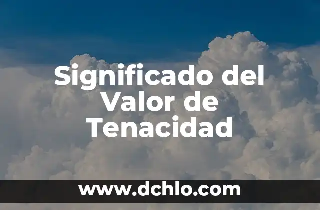 Significado de sopar 3 Significado del Valor de Tenacidad