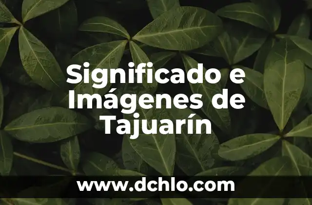 Significado e Sinonimo de Concebido: Una Exploración Profunda 5 Significado e Imágenes de Tajuarín