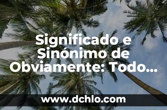 Infraestructura de una empresa: Todo lo que debes saber 7 Significado e Sinónimo de Obviamente: Todo lo que Necesitas Saber