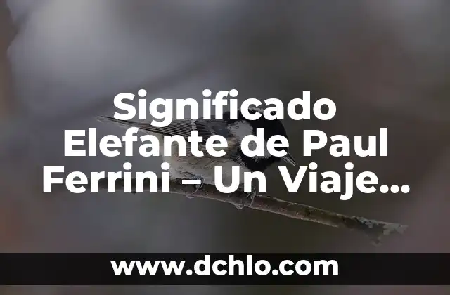 El Significado del Valor de la Sabiduría 4 Significado Elefante de Paul Ferrini – Un Viaje por la Sabiduría