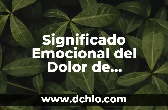 El Significado Emocional de la Hinchazón de Labios 4 Significado Emocional del Dolor de Testículos
