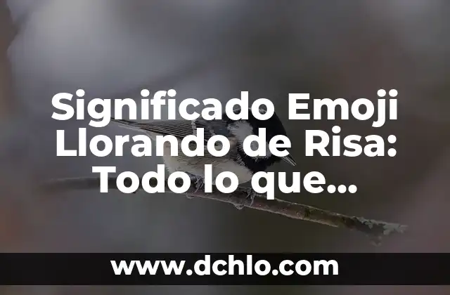 Significado de Sedentario en Ciencias Sociales 7 Significado Emoji Llorando de Risa: Todo lo que Necesitas Saber
