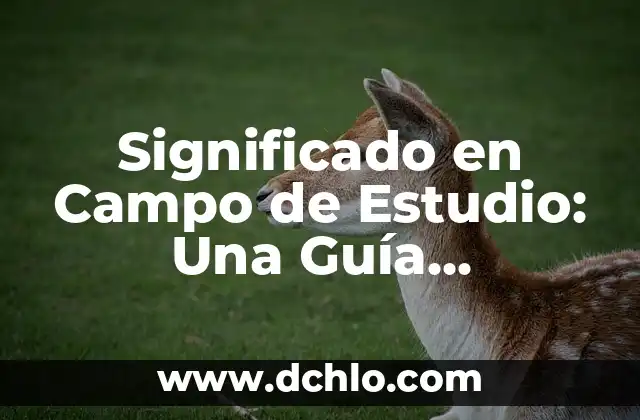 El Significado de Sentido Literario y Literal: Una Guía Completa 6 Significado en Campo de Estudio: Una Guía Completa