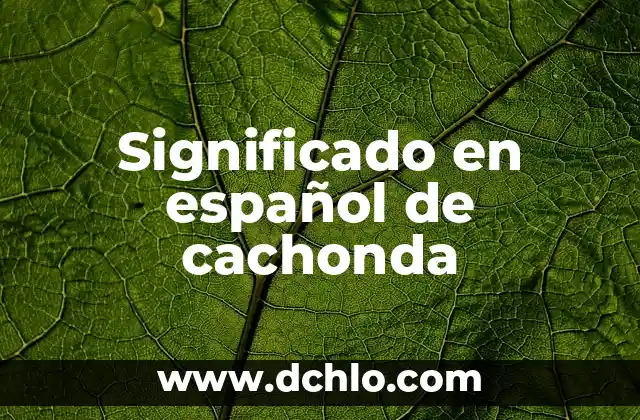Significado en albur de cachonda 3 Significado en español de cachonda