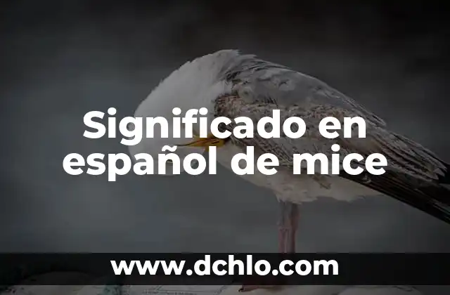 FYI Significado de las Siglas 6 Significado en español de mice